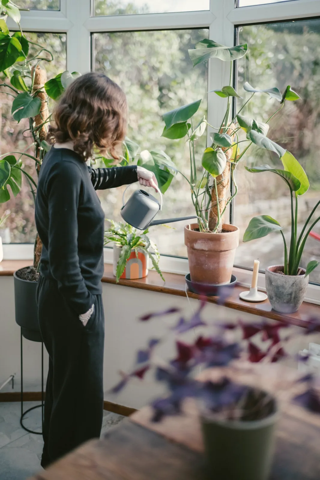 A woman watering plants on a sunny windowsill