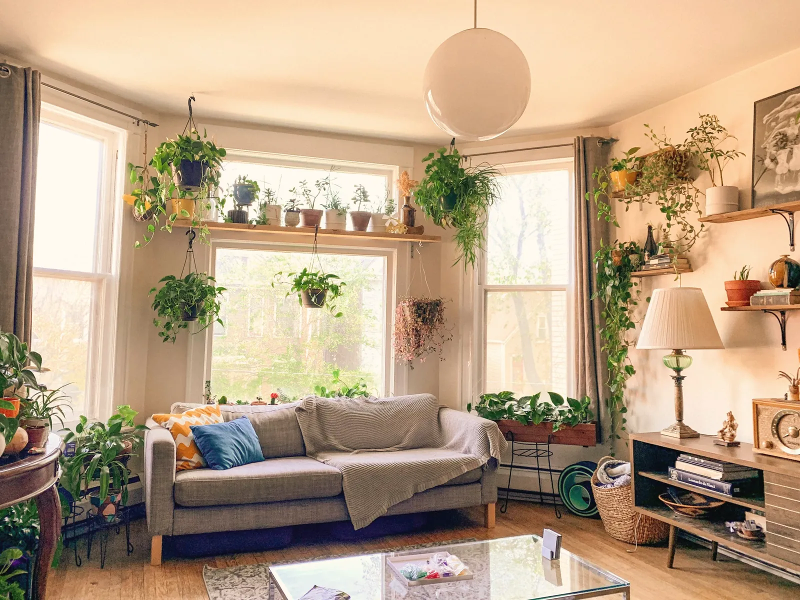 A bright living room filled with houseplants